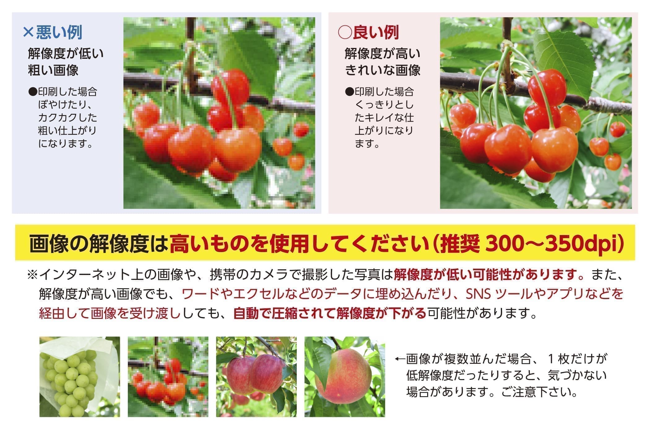 画像の解像度は高いものを使用してください(推奨 300~350dpi)